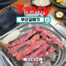 강서타워빌딩 | 명지오션시티고기집 찾다가 발견한 부산을숙도맛집 부산갈매기