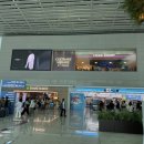 GS25 목포여객터미널점 | [맛집] 인천공항 제2터미널 맛집 추천, 출국 전 든든한 한 끼 쉐이크쉑 방문기!