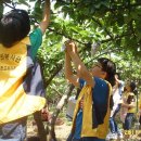 성제농장 이미지