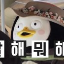 군산왕겨 이미지