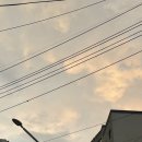 시카고호텔 2호점 이미지