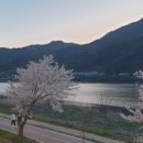 삼회리 강변 자전거길 네이버블로그