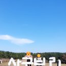 스테이비갠오후 이미지