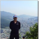 봉화산삼계탕