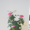 [10/20]가드닝 클래스 이미지