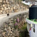 해뜨는집민박 이미지