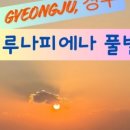 카페루나피에나