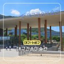 당동청소년문화의집 1인 미디어실 | [공지] 대구간송미술관 개관 기념 국보 보물전 여세동보 관람