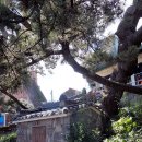 중동경로당 이미지