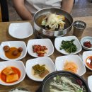 통일냉면 | 경남 고성 맛집 당항포 공룡엑스포 근처 현지인 추천 새로운통일냉면 왕목갈비탕 물냉면 솔직후기