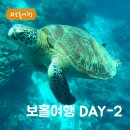 명재오토바이 | [보홀 여행 Ep.2] 바다거북이랑 수영한 꿈같은 하루, 발리카삭 호핑투어 & 게리스그릴