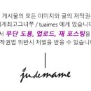 신성찰옥수수 이미지