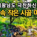 딱 1달만 개방!!! 지하철 타고 쉽게 갈 수 있는 서울 속 계곡ㅣ대중교통 당일치기 여행ㅣ지하철 여행ㅣ트레킹 코스ㅣ서울산책 이미지