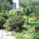 온더키친 이미지