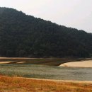 삼강농장 이미지