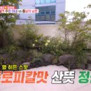 레이디제인북 이미지
