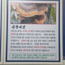 상황버섯삼계탕 | (양산) 웅상맛집 / 겨울에 몸보신으로 딱 좋은 만수상황버섯삼계탕 후기