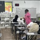목동애견미용학원