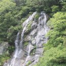 오리천국 이미지