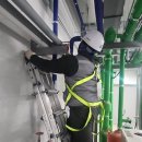 호현로447번길 이미지