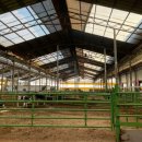 연보람목장 이미지