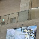 동반자 | 2026 파충류 동반자 수원컨벤션 후기