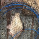 항포낚시터 이미지