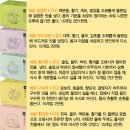 예본