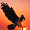 운이좋아 이미지