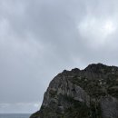 신화로36번길(3-231) | 너무 소중했던 제주도🐬🐳🍊