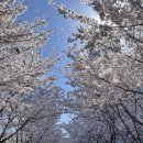 팔공김치주유소 이미지