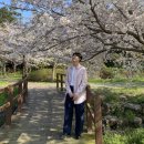 예래동사무소 이미지