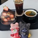 하투하 보러 대전 당일치기 여행 다녀옴.. / 하투하 대전 공팬 후기