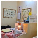 메리몰펫샵(사직점) | 부산 애견미용 모질,체형 분석부터 스파까지, 프리미엄 관리받은 강아지 미용 후기 메리몰펫샵 사직점