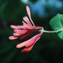 정원식당 앞 이미지