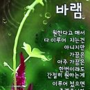 2024.10.29(E) : CAPCUT-유료로사기-동영상(인사)만들기 이미지