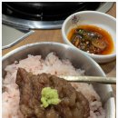 강아지 별장 이미지