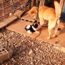 동네농장 이미지