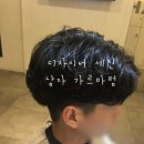 세진미용실 네이버블로그