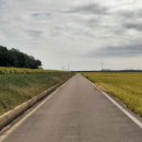 평촌회관 이미지