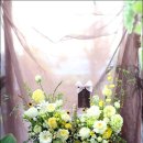 반려식물 원예화분 공예 이미지