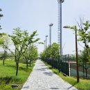 세종중앙공원 이미지