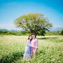 낮은언덕스튜디오