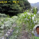 기권농장 이미지