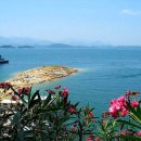 천도체육관 이미지