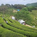 (주)다원코리아 이미지