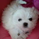 인더무드 이미지