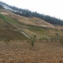 대산사슴농장 이미지