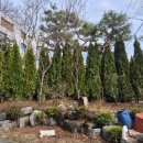 옥산조경 - 양천구 목동중앙서로7길 16-14 | 옥산조경