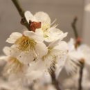 미루상회 이미지